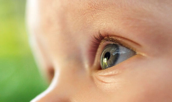 baby-eye-colorابزار آنلاین پیشبینی رنگ چشم